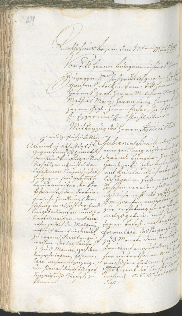 Civic Archives of Bozen-Bolzano - BOhisto Ratsprotokoll 1780/83 