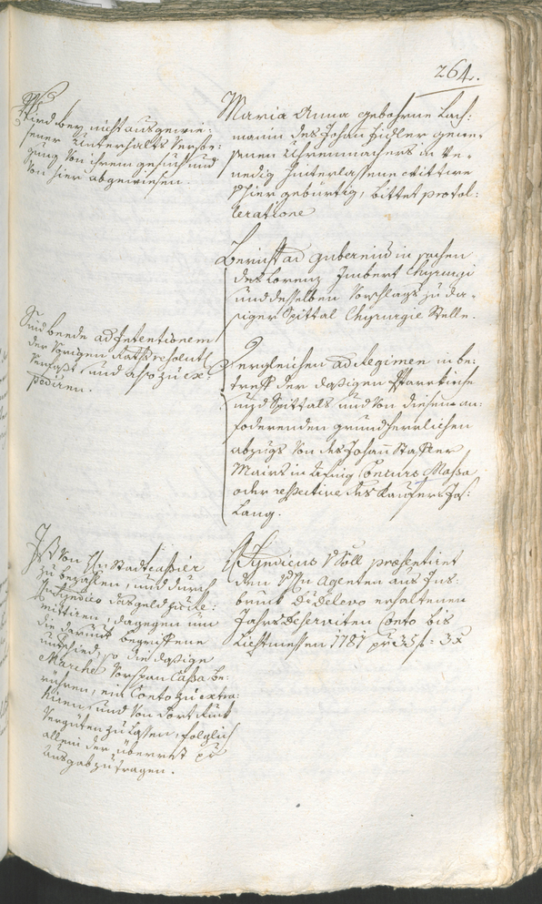 Civic Archives of Bozen-Bolzano - BOhisto Ratsprotokoll 1780/83 