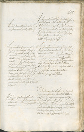 Stadtarchiv Bozen - BOhisto Ratsprotokoll 1783/85 - 