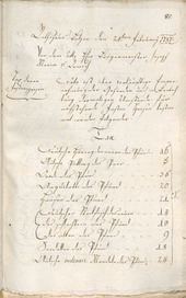 Civic Archives of Bozen-Bolzano - BOhisto Ratsprotokoll 1787 - 