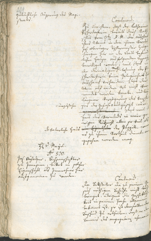 Civic Archives of Bozen-Bolzano - BOhisto Ratsprotokoll 1788 