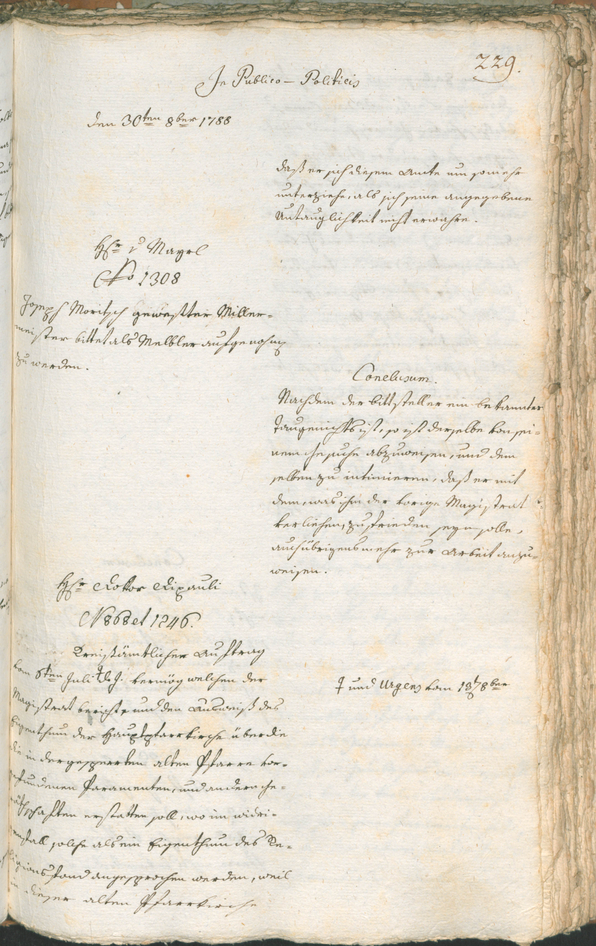 Civic Archives of Bozen-Bolzano - BOhisto Ratsprotokoll 1788 