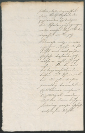 Stadtarchiv Bozen - BOhisto Ratsprotokoll 1795 - 