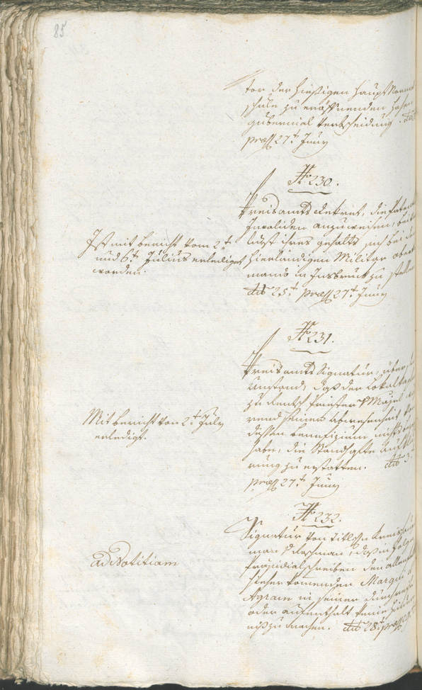 Civic Archives of Bozen-Bolzano - BOhisto Ratsprotokoll 1794/96 