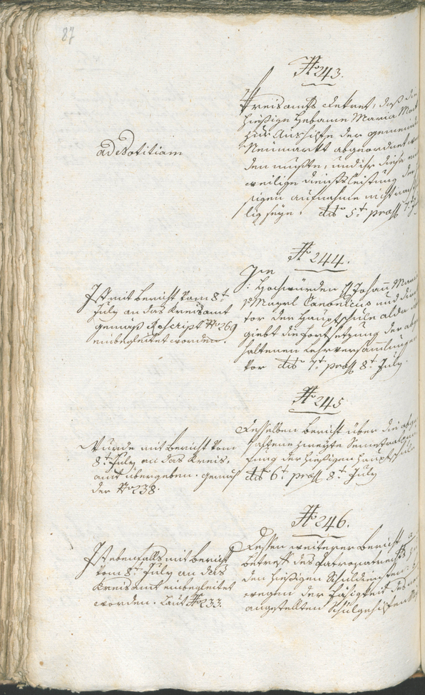 Archivio Storico della Città di Bolzano - BOhisto protocollo consiliare 1794/96 