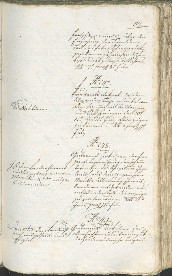 Civic Archives of Bozen-Bolzano - BOhisto Ratsprotokoll 1794/96 