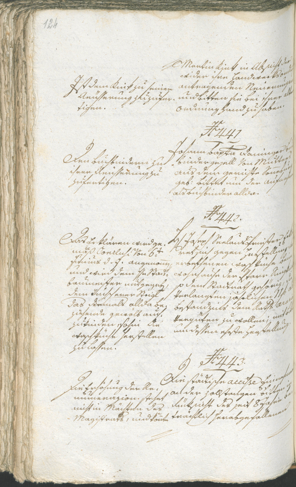 Civic Archives of Bozen-Bolzano - BOhisto Ratsprotokoll 1794/96 