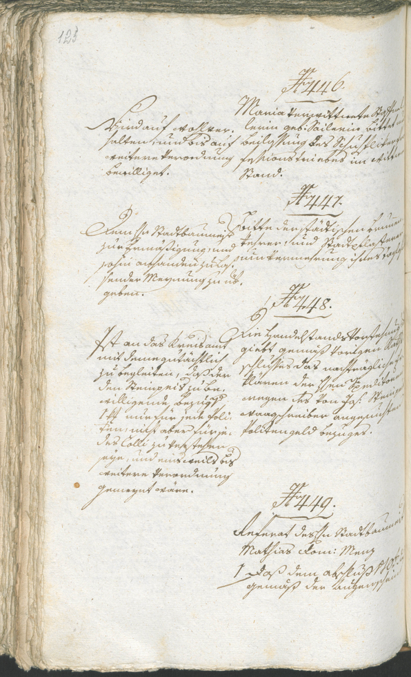 Civic Archives of Bozen-Bolzano - BOhisto Ratsprotokoll 1794/96 