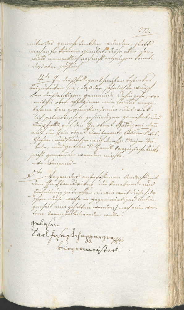 Civic Archives of Bozen-Bolzano - BOhisto Ratsprotokoll 1794/96 