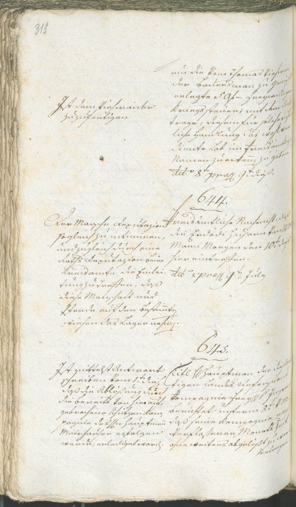 Stadtarchiv Bozen - BOhisto Ratsprotokoll 1794/96 