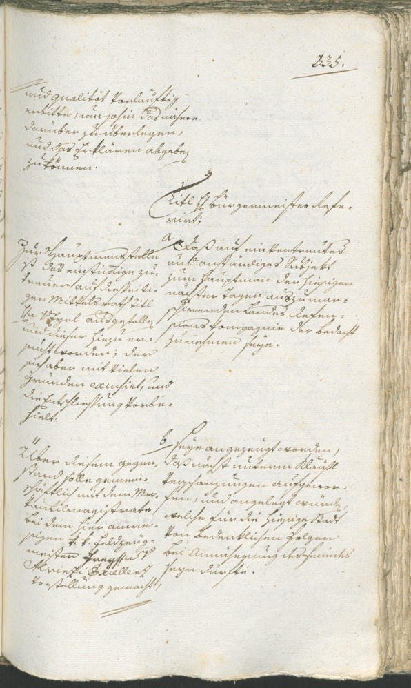 Civic Archives of Bozen-Bolzano - BOhisto Ratsprotokoll 1794/96 