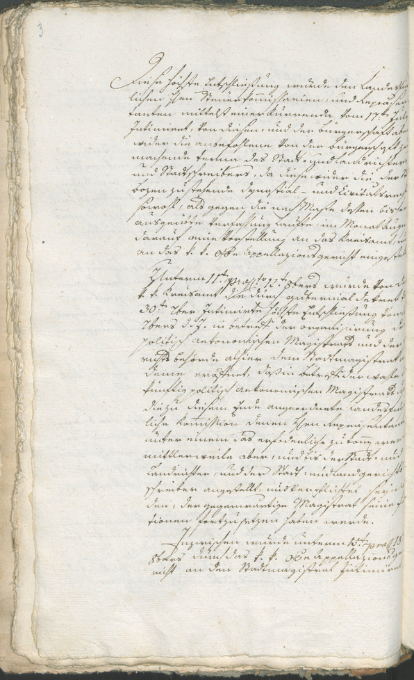 Civic Archives of Bozen-Bolzano - BOhisto Ratsprotokoll 1794/96 