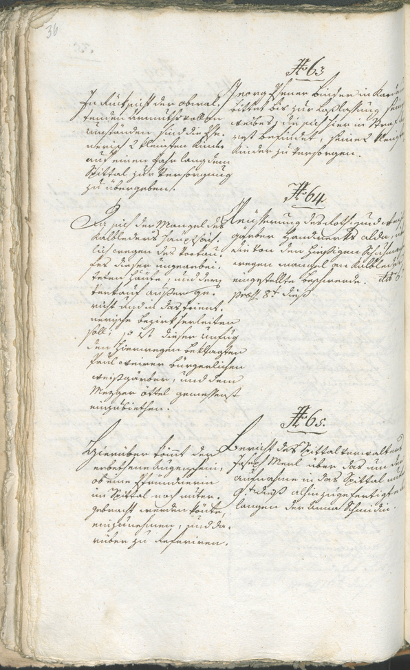 Civic Archives of Bozen-Bolzano - BOhisto Ratsprotokoll 1794/96 