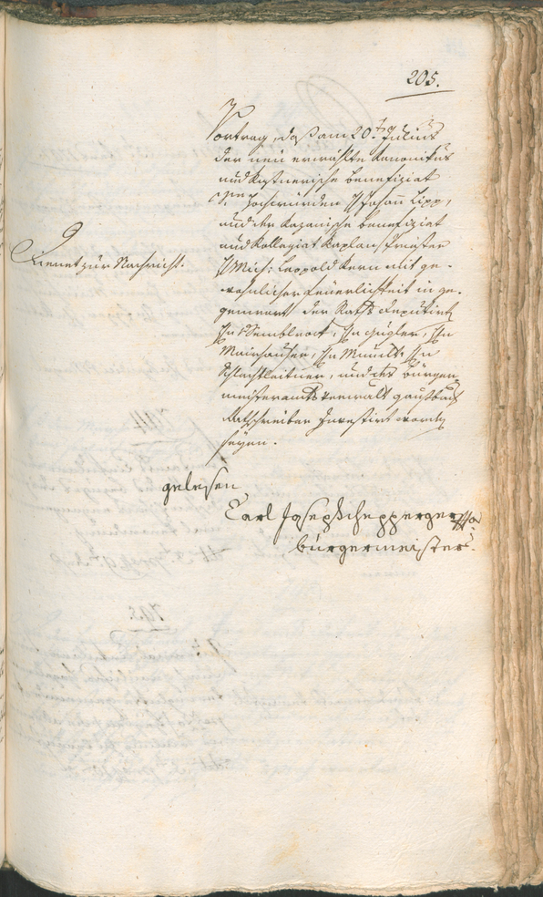 Archivio Storico della Città di Bolzano - BOhisto protocollo consiliare 1797 