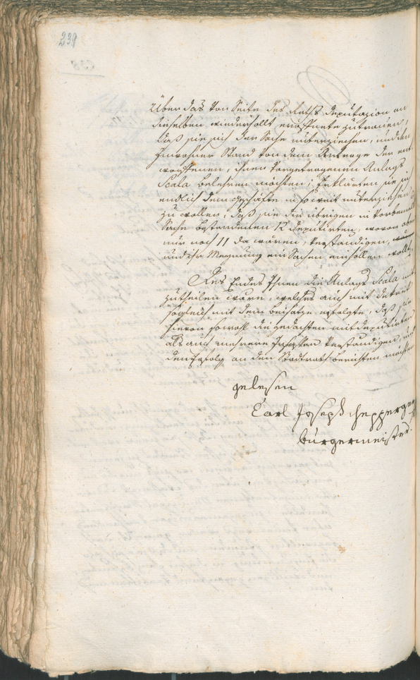 Civic Archives of Bozen-Bolzano - BOhisto Ratsprotokoll 1797 