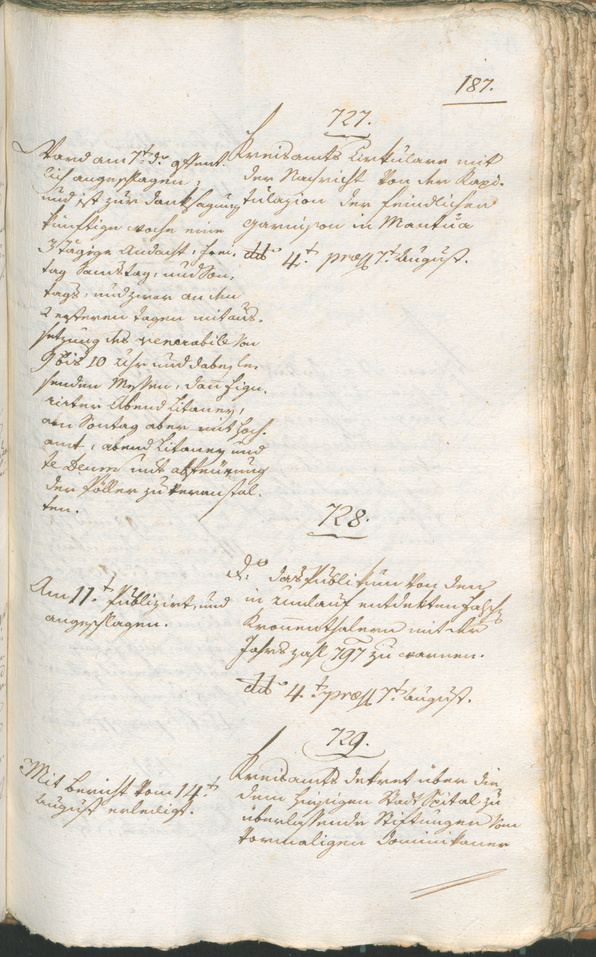 Civic Archives of Bozen-Bolzano - BOhisto Ratsprotokoll 1799 