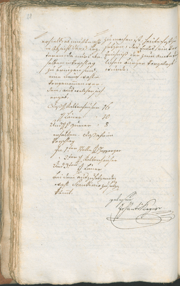 Civic Archives of Bozen-Bolzano - BOhisto Ratsprotokoll 1799 