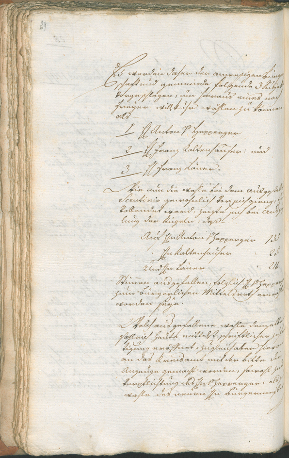 Civic Archives of Bozen-Bolzano - BOhisto Ratsprotokoll 1799 