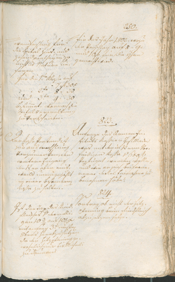 Civic Archives of Bozen-Bolzano - BOhisto Ratsprotokoll 1802 