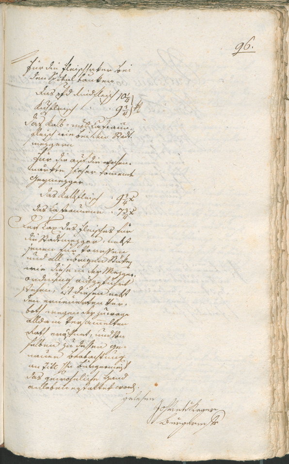 Civic Archives of Bozen-Bolzano - BOhisto Ratsprotokoll 1803 