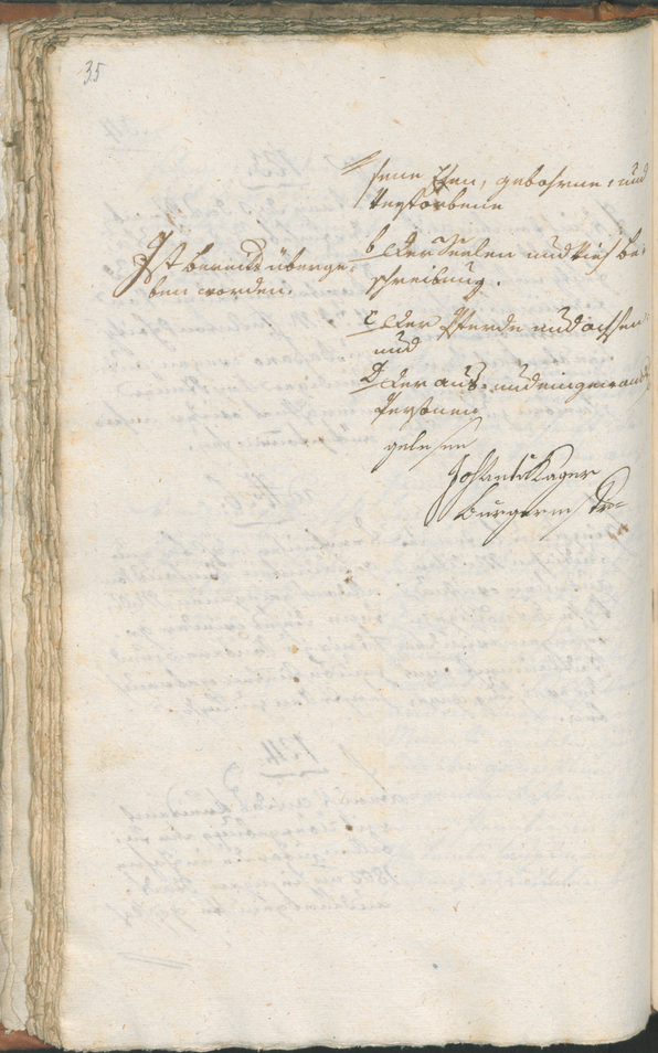 Civic Archives of Bozen-Bolzano - BOhisto Ratsprotokoll 1803 