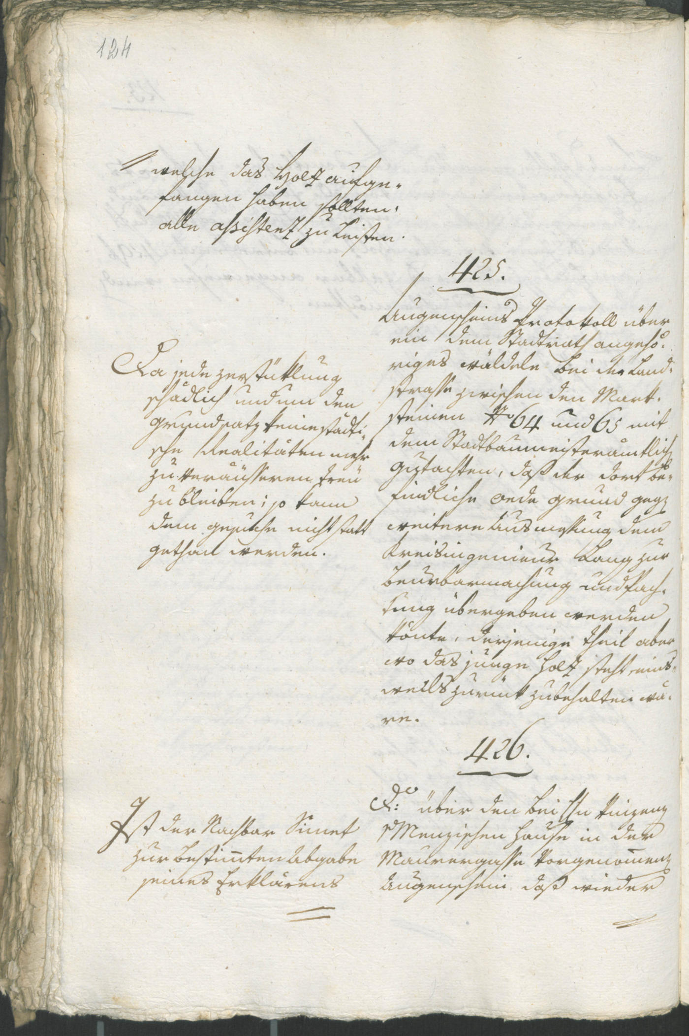Stadtarchiv Bozen - BOhisto Ratsprotokoll 1805 