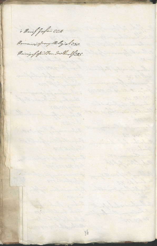 Civic Archives of Bozen-Bolzano - BOhisto Ratsprotokoll 1805