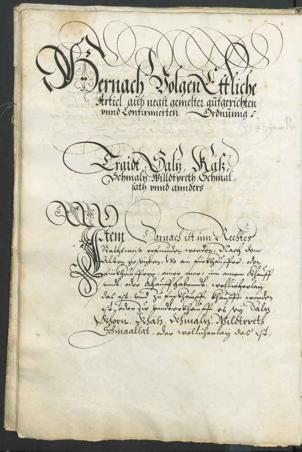 Civic Archives of Bozen-Bolzano - BOhisto Kopeibuch 1322-1569 