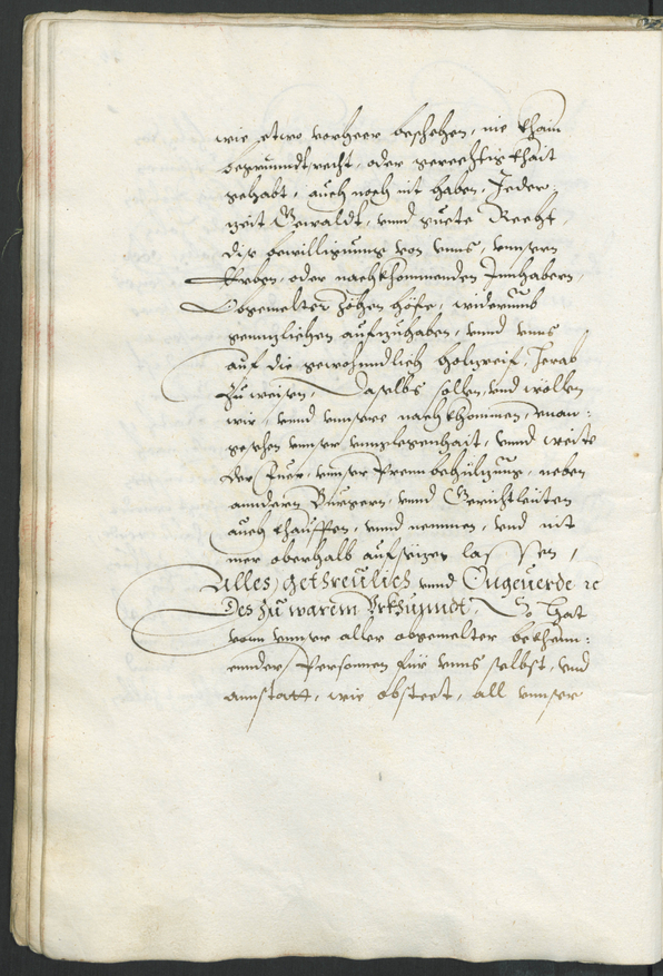 Archivio Storico della Città di Bolzano - BOhisto Libro copiale 1322-1569 