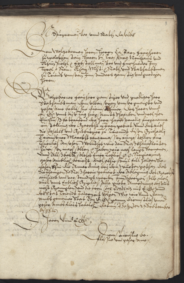 Archivio Storico della Città di Bolzano - BOhisto protocollo consiliare copiale  1598/1601 