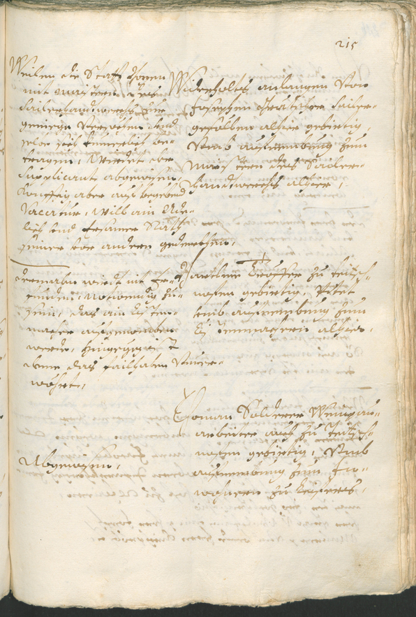 Archivio Storico della Città di Bolzano - BOhisto protocollo consiliare 1699/1702 