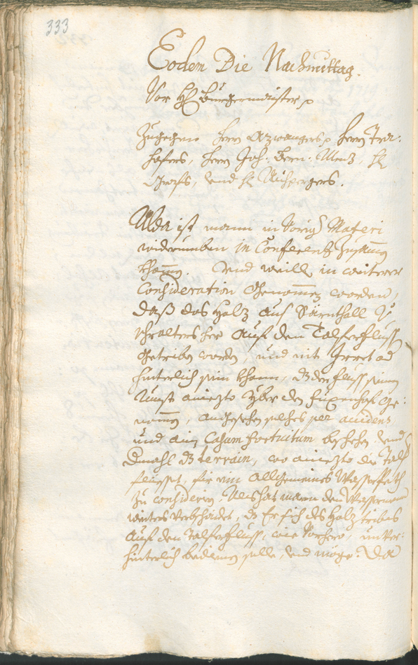 Civic Archives of Bozen-Bolzano - BOhisto Ratsprotokoll 1717/20 