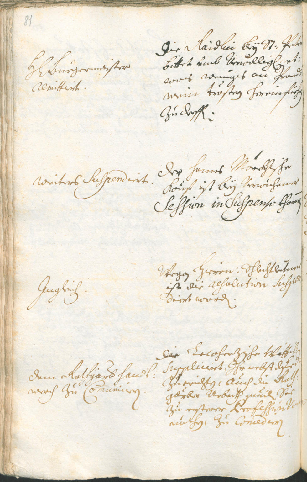 Civic Archives of Bozen-Bolzano - BOhisto Ratsprotokoll 1717/20 