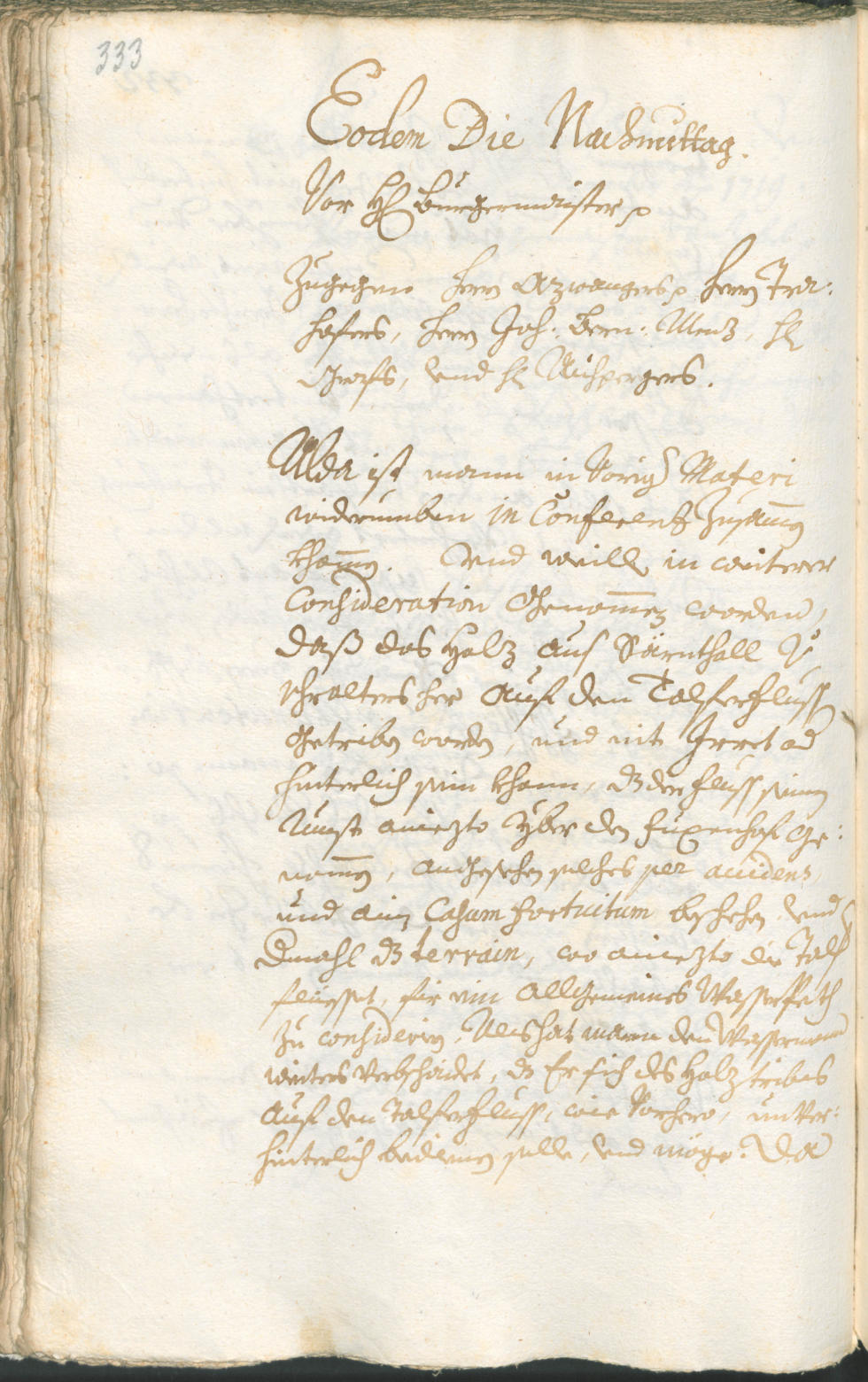 Stadtarchiv Bozen - BOhisto Ratsprotokoll 1717/20 