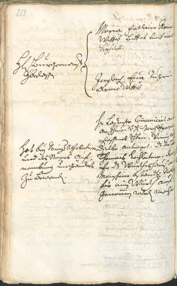 Archivio Storico della Città di Bolzano - BOhisto protocollo consiliare 1726/29 