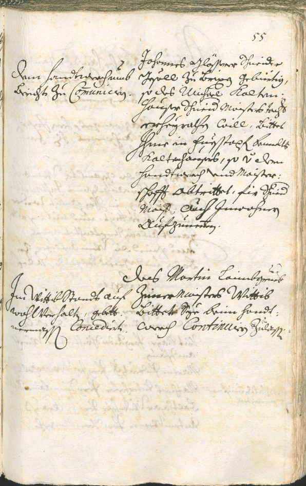 Archivio Storico della Città di Bolzano - BOhisto protocollo consiliare 1729/32 