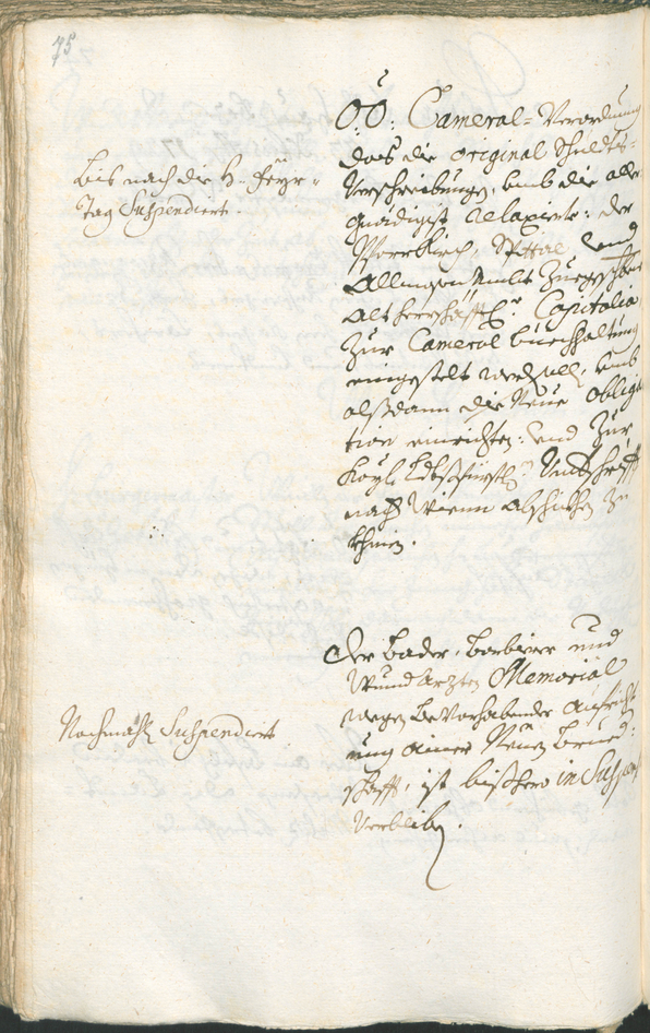 Civic Archives of Bozen-Bolzano - BOhisto Ratsprotokoll 1729/32 