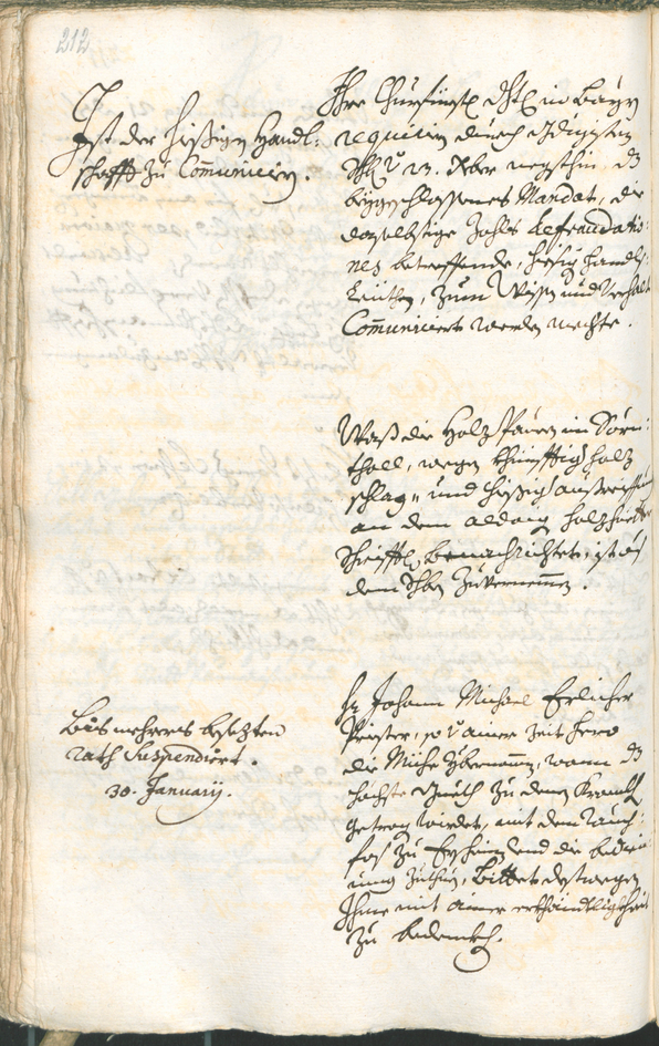 Civic Archives of Bozen-Bolzano - BOhisto Ratsprotokoll 1729/32 