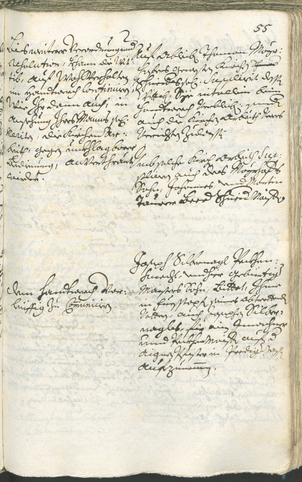 Civic Archives of Bozen-Bolzano - BOhisto Ratsprotokoll 1732/35 