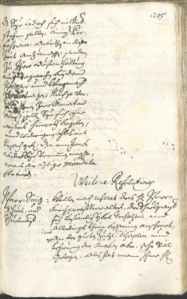 Civic Archives of Bozen-Bolzano - BOhisto Ratsprotokoll 1732/35 