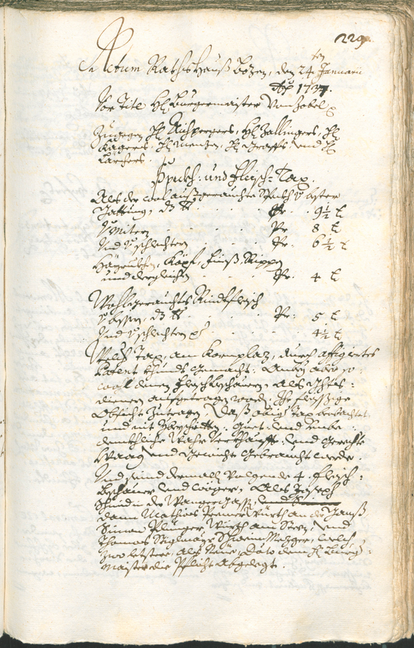 Civic Archives of Bozen-Bolzano - BOhisto Ratsprotokoll 1735/38 