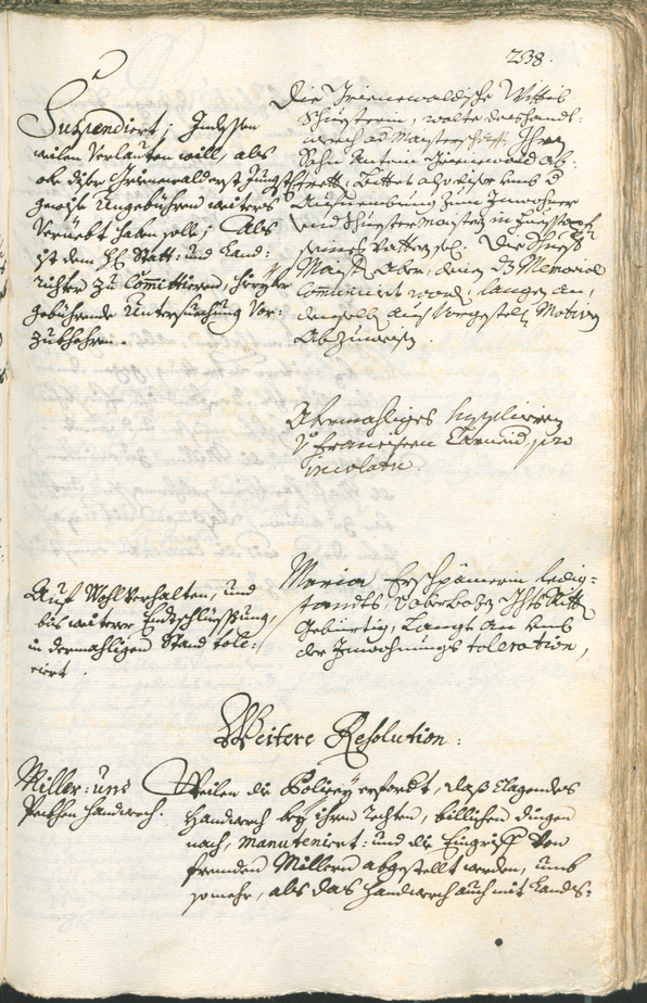 Civic Archives of Bozen-Bolzano - BOhisto Ratsprotokoll 1735/38 