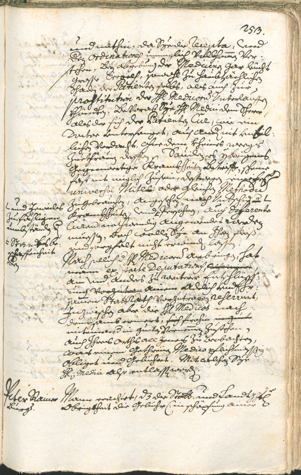 Archivio Storico della Città di Bolzano - BOhisto protocollo consiliare 1735/38 