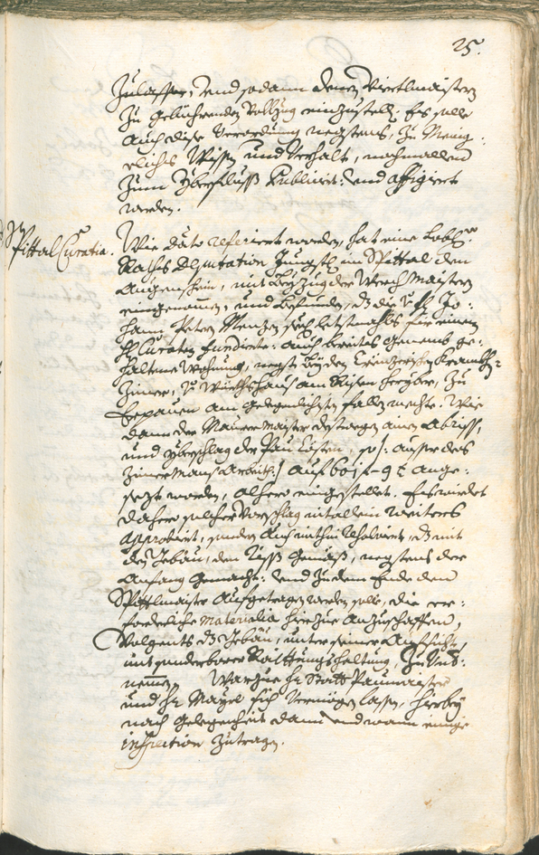 Civic Archives of Bozen-Bolzano - BOhisto Ratsprotokoll 1735/38 