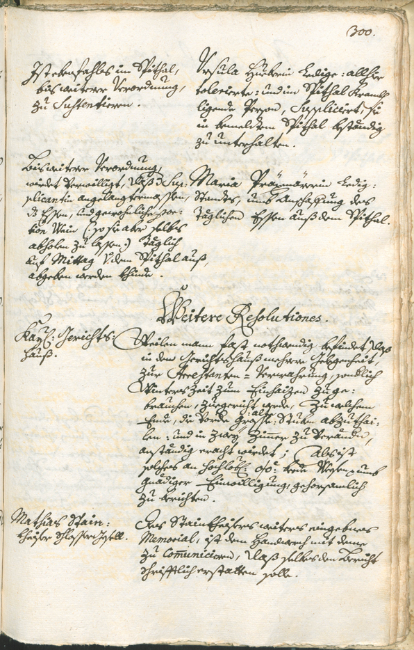 Civic Archives of Bozen-Bolzano - BOhisto Ratsprotokoll 1735/38 