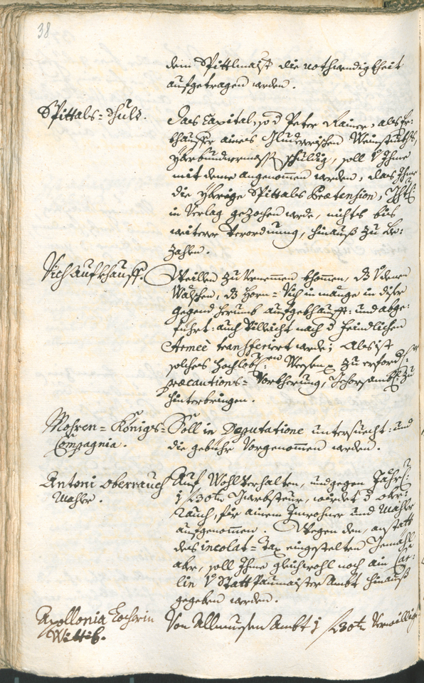 Stadtarchiv Bozen - BOhisto Ratsprotokoll 1735/38 