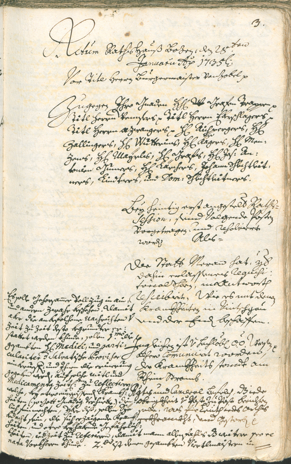 Archivio Storico della Città di Bolzano - BOhisto protocollo consiliare 1735/38 