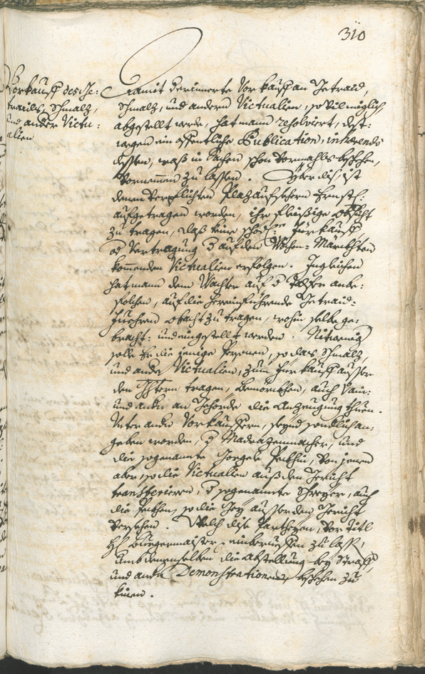 Civic Archives of Bozen-Bolzano - BOhisto Ratsprotokoll 1738/41 