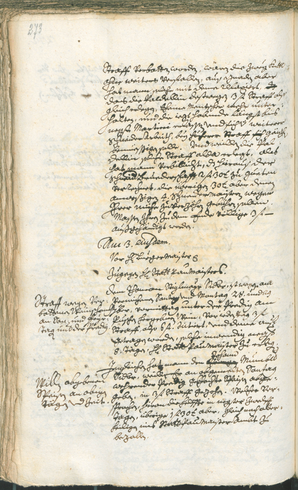 Archivio Storico della Città di Bolzano - BOhisto protocollo consiliare 1753/56 