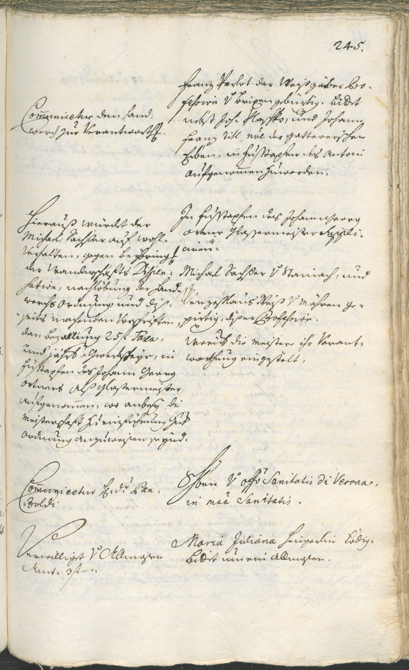 Civic Archives of Bozen-Bolzano - BOhisto Ratsprotokoll 1762/65 